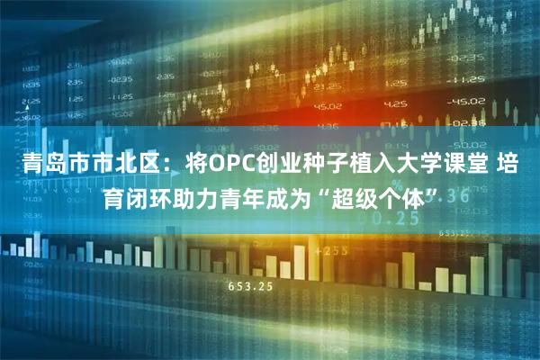 青岛市市北区：将OPC创业种子植入大学课堂 培育闭环助力青年成为“超级个体”